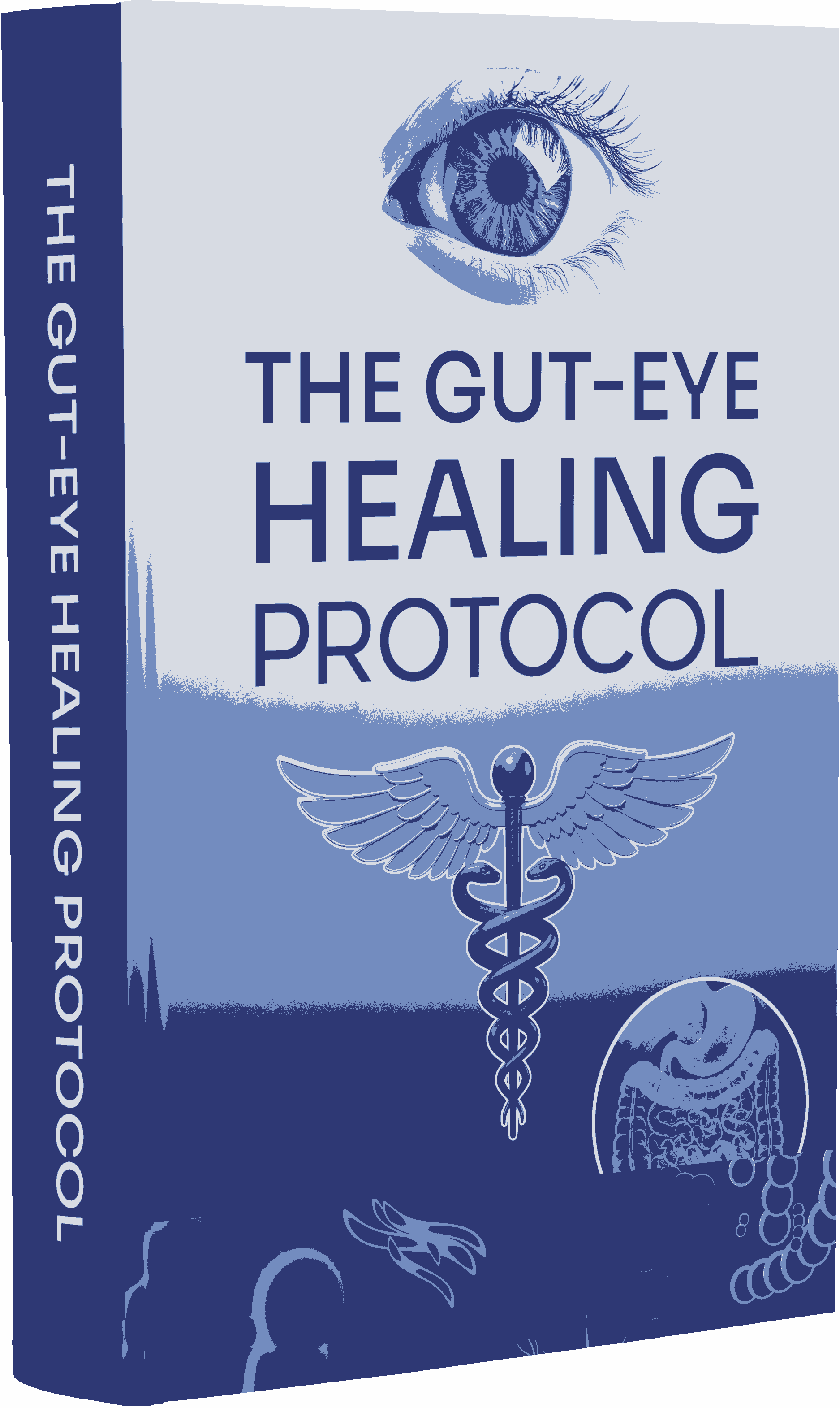Gut-Eye Healing Protocol free bonus with VisiFlora purchase